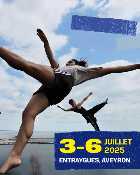 La Grande Confluence 2025 affiche