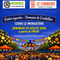Le duo LES MEMPHIS 2 guitare voix harmonica en live