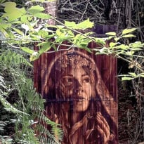 Randonnée guidée Land'Art dans la Forêt de la Vaysse