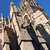Visite guidée : les bâtisseurs de cathédrale