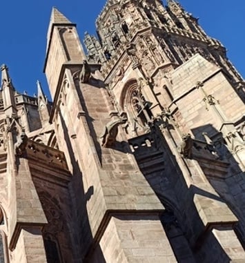Visite guidée : les bâtisseurs de cathédrale