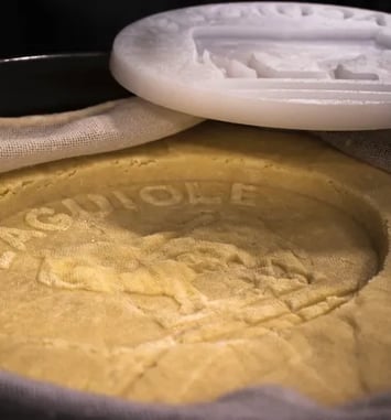 Visite guidée sur la fabrication du fromage : à la découverte du Laguiole AOP et de la Tome fraîche de l'Aubrac IGP