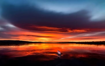 « Aubrac sous les étoiles Aveyron en lumière » de la photographe Lauriane Galtier