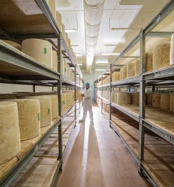Visite guidée : découvrez la fabrication du cantal AOP au lait cru et du fromage Le Thérondels