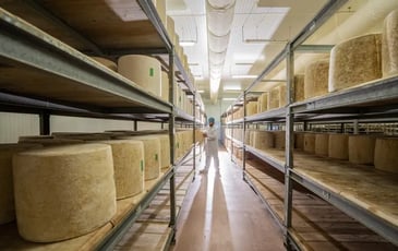 Visite guidée : découvrez la fabrication du cantal AOP au lait cru et du fromage Le Thérondels