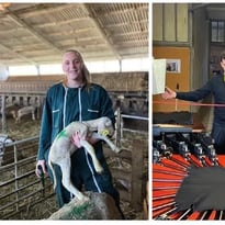 Les savoir-faire liés à la ganterie en pays de Millau, intégrant l'élevage pastoral et la transformation des matières naturelles.