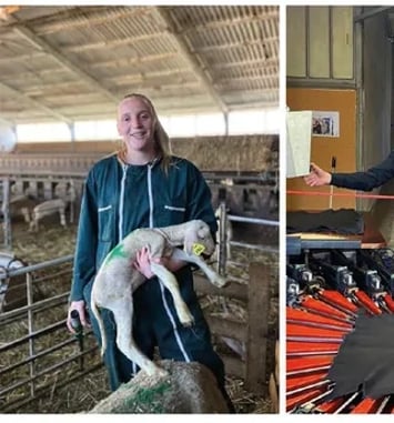 Les savoir-faire liés à la ganterie en pays de Millau, intégrant l'élevage pastoral et la transformation des matières naturelles.