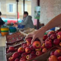 Le marché en musique