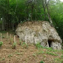 Visite de la cave troglodyte et des anciennes terrasses de vignes
