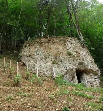 Visite de la cave troglodyte et des anciennes terrasses de vignes