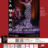 Spectacle de Flamenco "Puntos Cardinales"