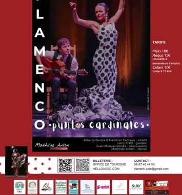 Spectacle de Flamenco "Puntos Cardinales"